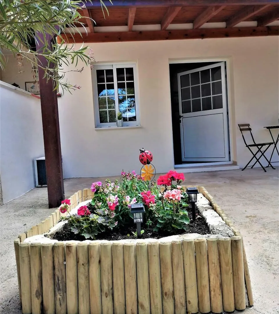 Lemon Tree Courtyard Villa Larnaca