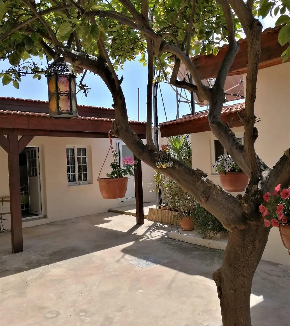 Lemon Tree Courtyard Villa Larnaca Tatil Evi