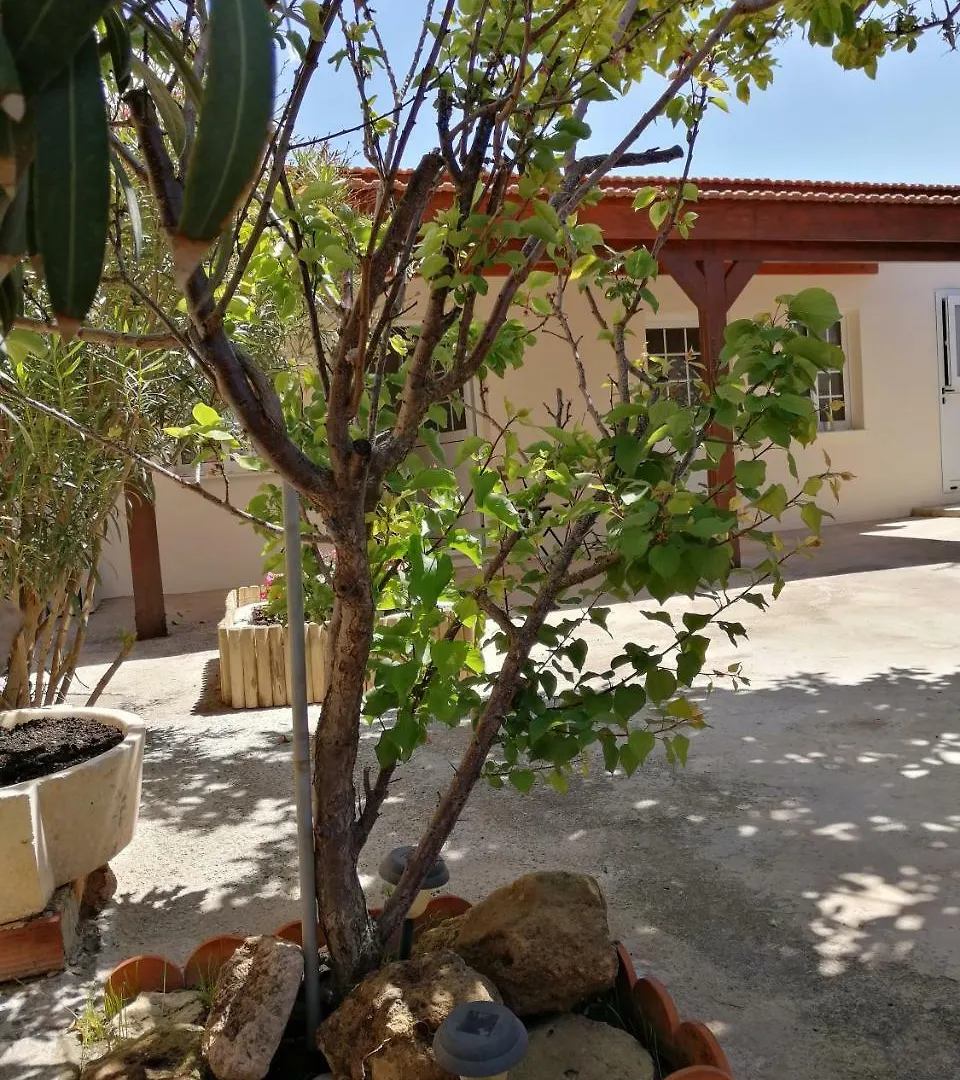 Lemon Tree Courtyard Villa Larnaca 0*,  Kıbrıs