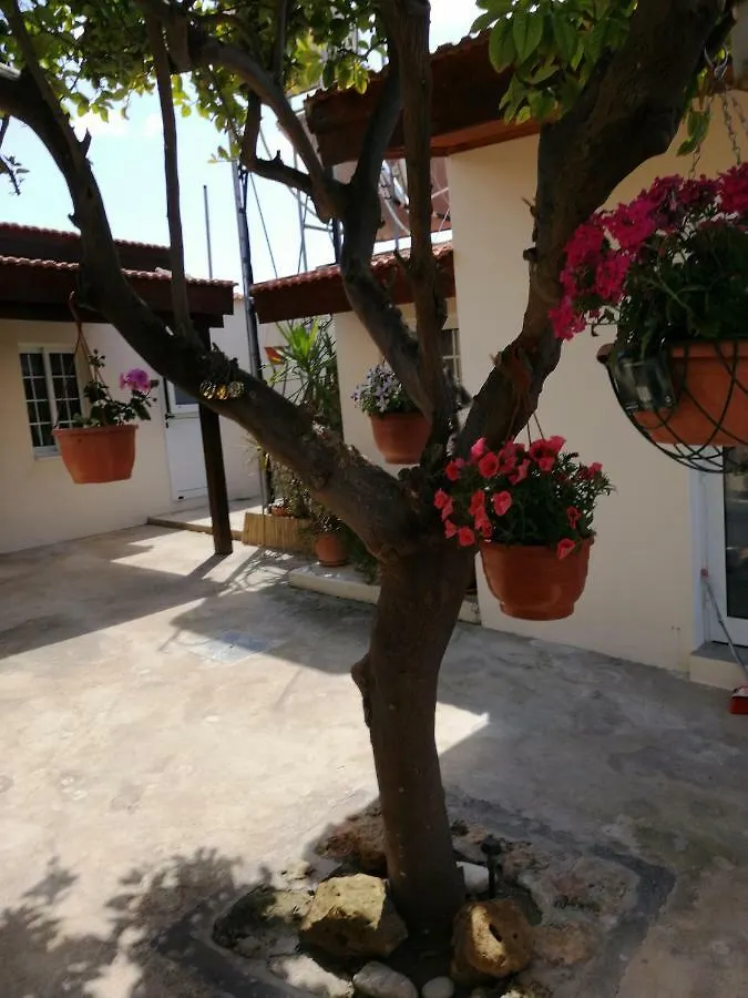 Lemon Tree Courtyard Villa Larnaca 0*,  Kıbrıs